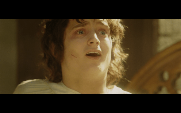 The Lord of the Rings The Return of the King - 1752