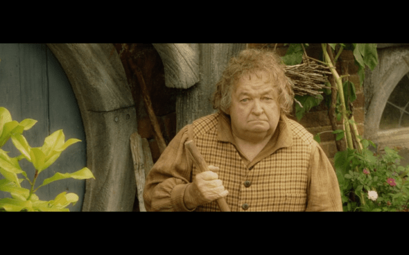 The Lord of the Rings The Return of the King - 1854