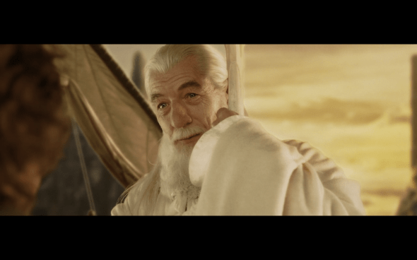 The Lord of the Rings The Return of the King - 1917