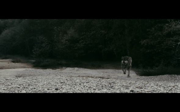 The Twilight Saga Eclipse - 268