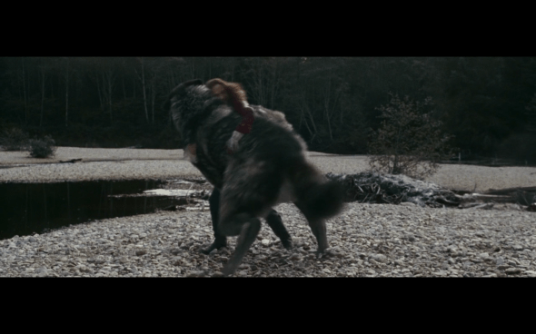 The Twilight Saga Eclipse - 269