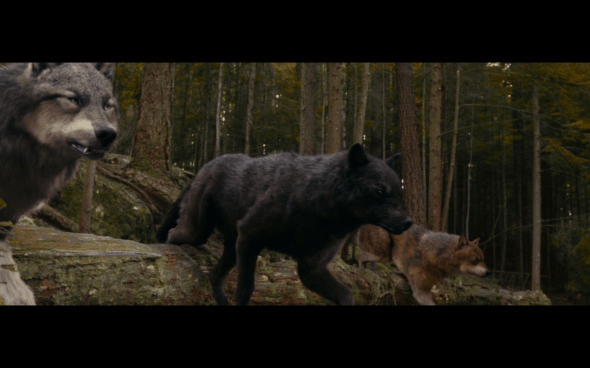 The Twilight Saga Eclipse - 474