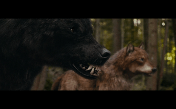 The Twilight Saga Eclipse - 477