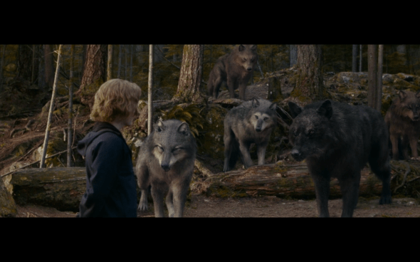 The Twilight Saga Eclipse - 484