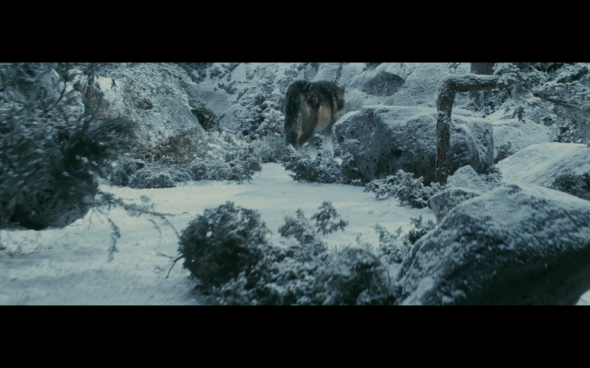 The Twilight Saga Eclipse - 774