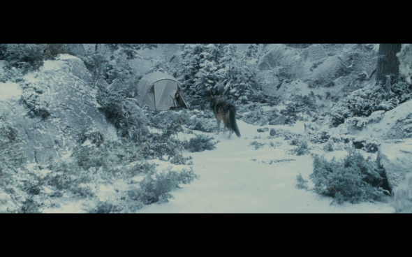 The Twilight Saga Eclipse - 775