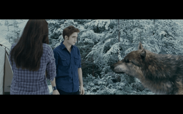 The Twilight Saga Eclipse - 815