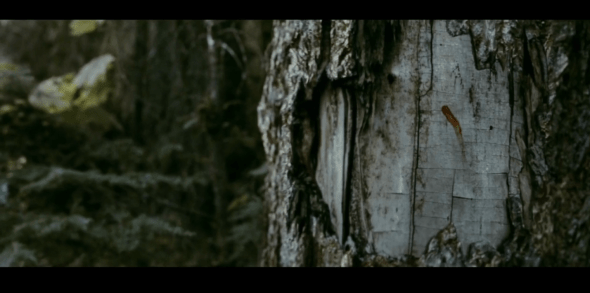 The Twilight Saga Eclipse - 816