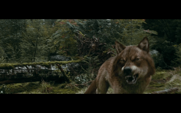 The Twilight Saga Eclipse - 860