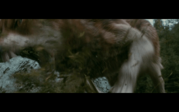 The Twilight Saga Eclipse - 866