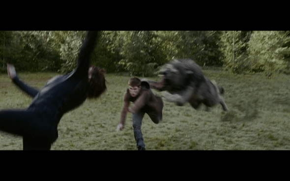 The Twilight Saga Eclipse - 873