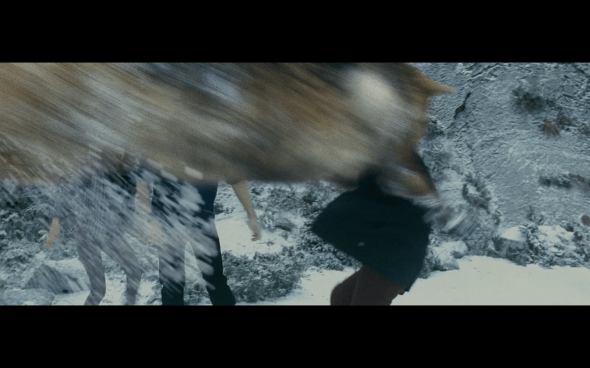 The Twilight Saga Eclipse - 919