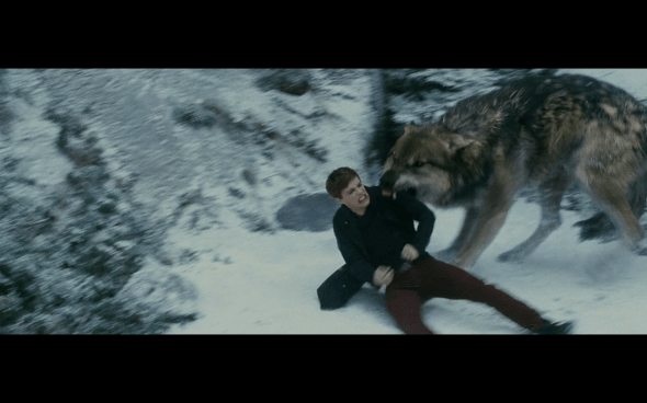 The Twilight Saga Eclipse - 924