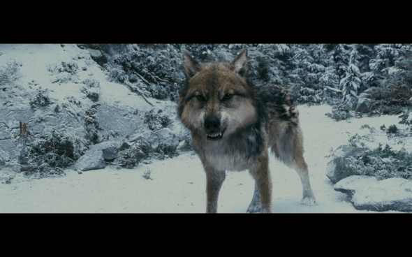 The Twilight Saga Eclipse - 985