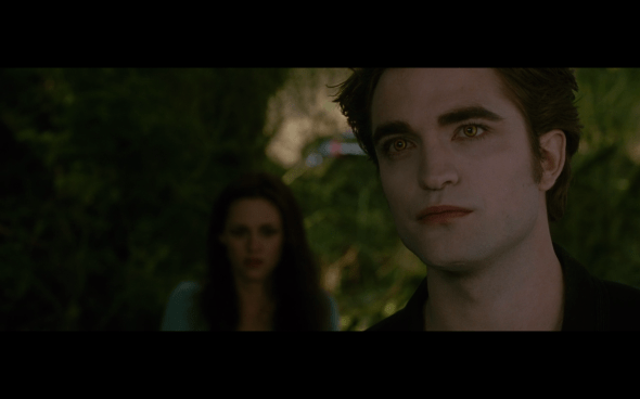 The Twilight Saga New Moon - 1041
