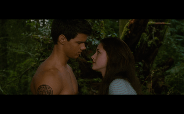 The Twilight Saga New Moon - 1049