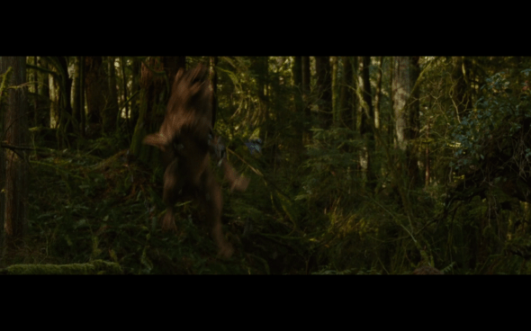 The Twilight Saga New Moon - 1057