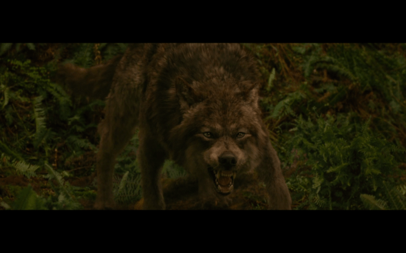 The Twilight Saga New Moon - 1058