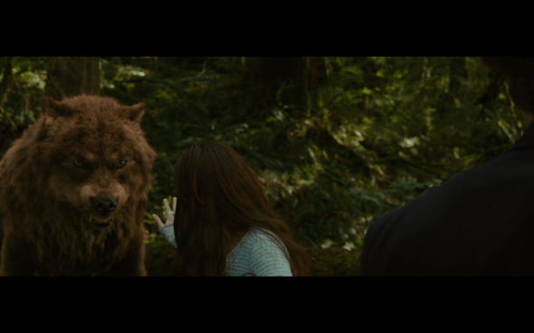 The Twilight Saga New Moon - 1060