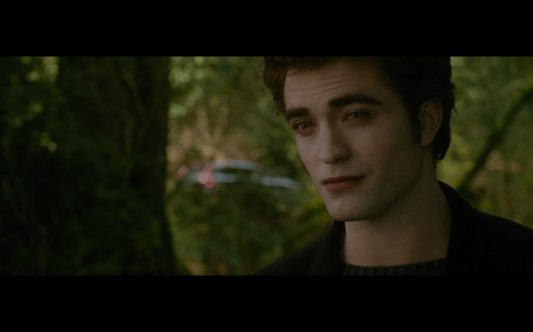 The Twilight Saga New Moon - 1066
