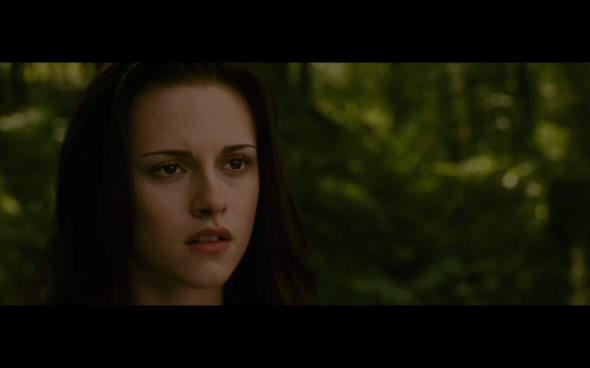 The Twilight Saga New Moon - 1077