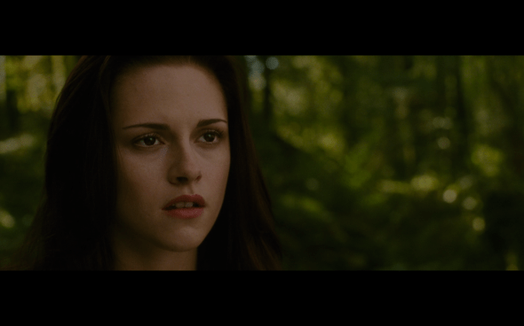The Twilight Saga New Moon - 1078