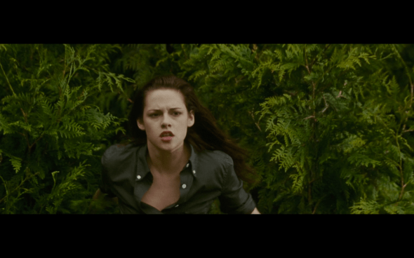 The Twilight Saga New Moon - 12