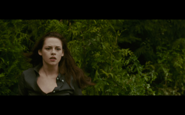 The Twilight Saga New Moon - 13