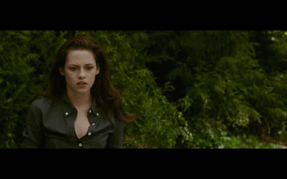 The Twilight Saga New Moon - 14