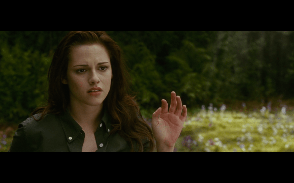 The Twilight Saga New Moon - 21
