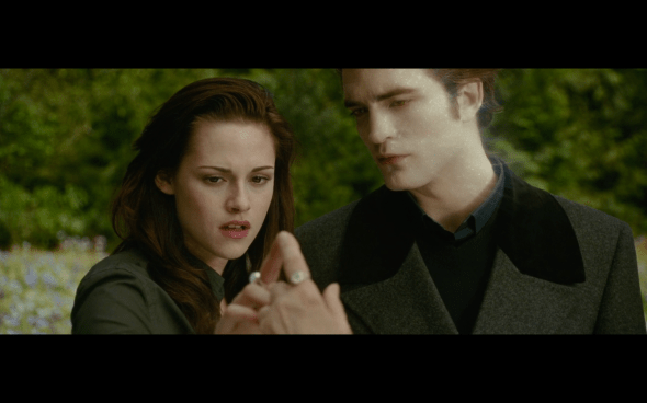 The Twilight Saga New Moon - 32