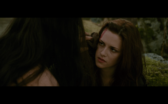 The Twilight Saga New Moon - 387