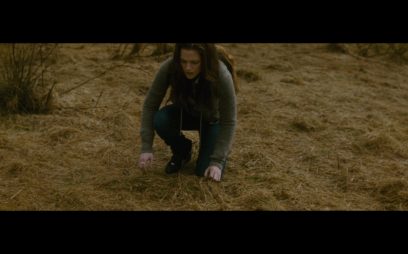 The Twilight Saga New Moon - 457