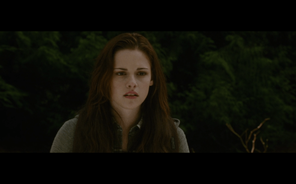 The Twilight Saga New Moon - 461