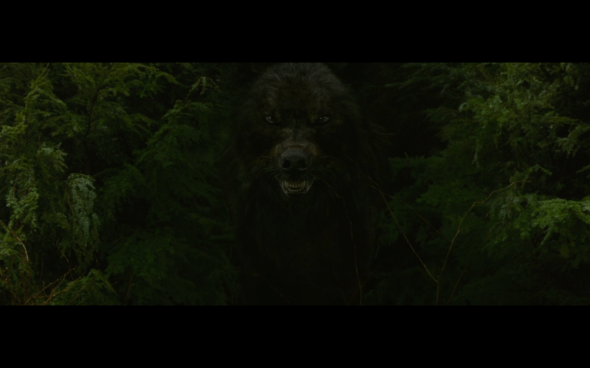 The Twilight Saga New Moon - 478