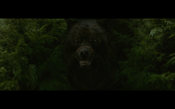 The Twilight Saga New Moon - 479