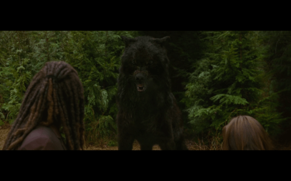 The Twilight Saga New Moon - 480