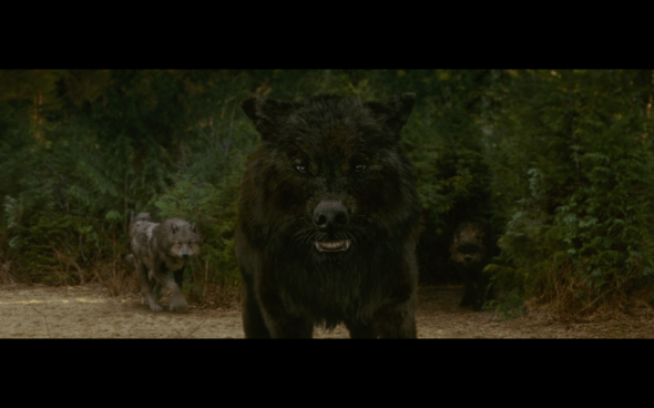 The Twilight Saga New Moon - 481