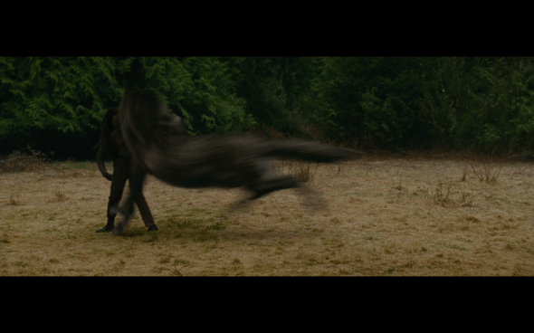 The Twilight Saga New Moon - 489