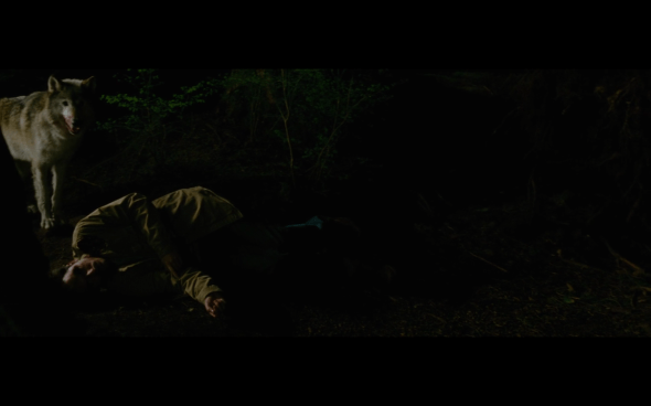 The Twilight Saga New Moon - 531