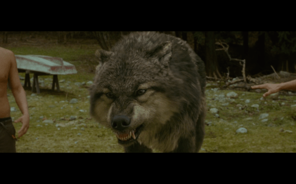 The Twilight Saga New Moon - 548