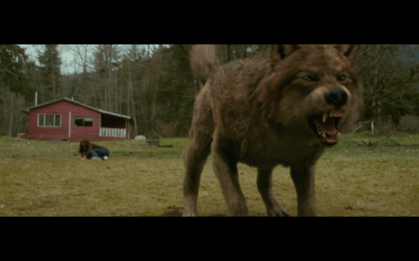 The Twilight Saga New Moon - 558