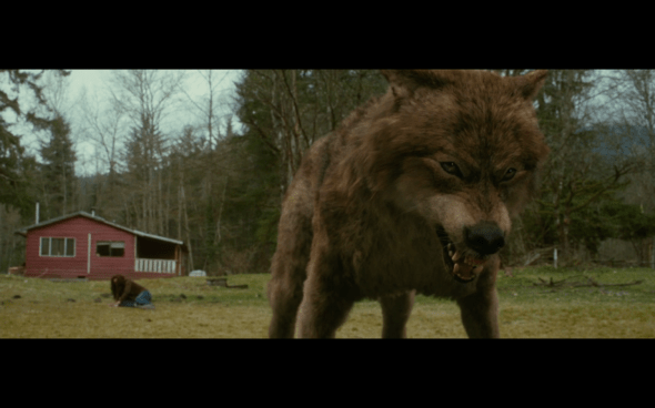 The Twilight Saga New Moon - 559