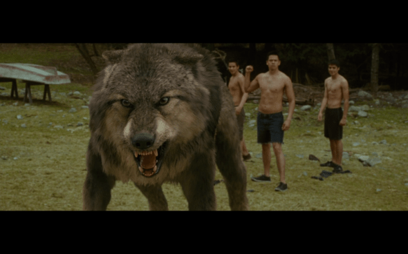 The Twilight Saga New Moon - 561