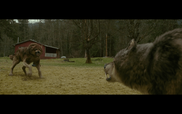 The Twilight Saga New Moon - 562