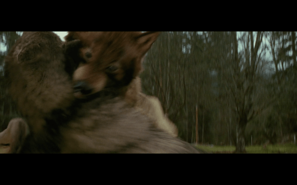 The Twilight Saga New Moon - 563