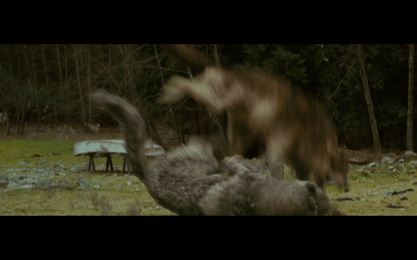 The Twilight Saga New Moon - 564