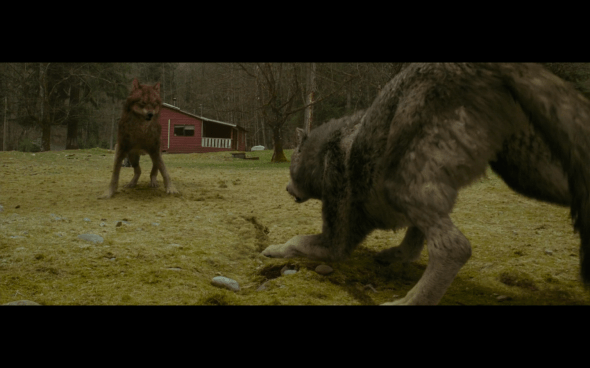 The Twilight Saga New Moon - 565