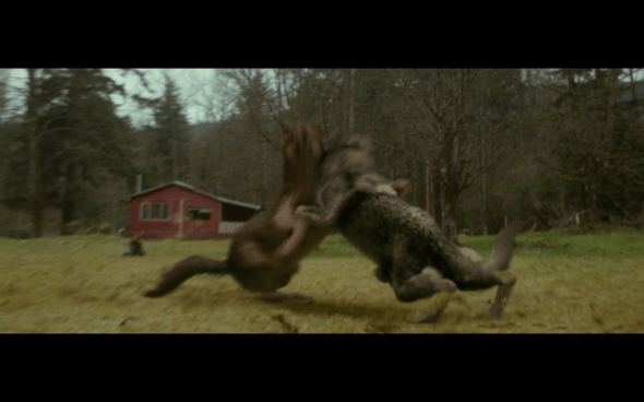 The Twilight Saga New Moon - 566