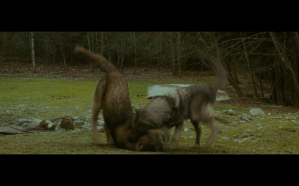 The Twilight Saga New Moon - 567